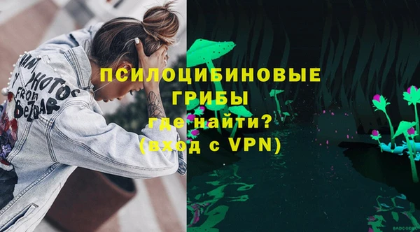 тгк Алексин