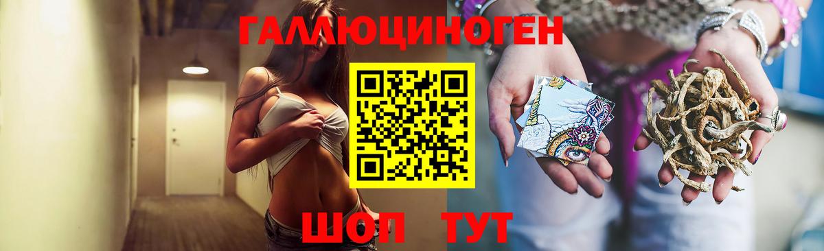наркошоп  Вход с VPN  Псилоцибиновые грибы мухоморы  Глазов  Псилоцибиновые грибы GOLDEN TEACHER 